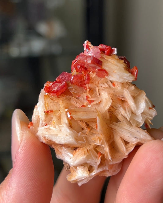 摩洛哥釩鉛礦重晶石 Vanadinite on barite from Morocco