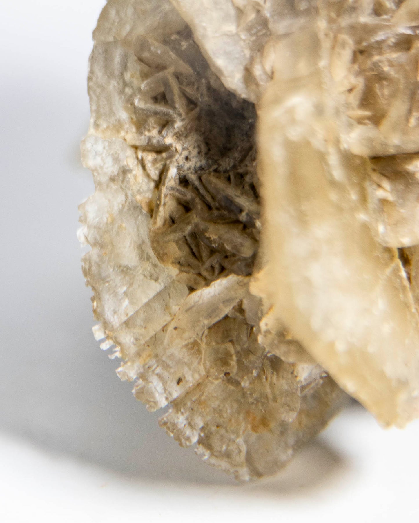 Rose Gypsum - Tuscany, Italy