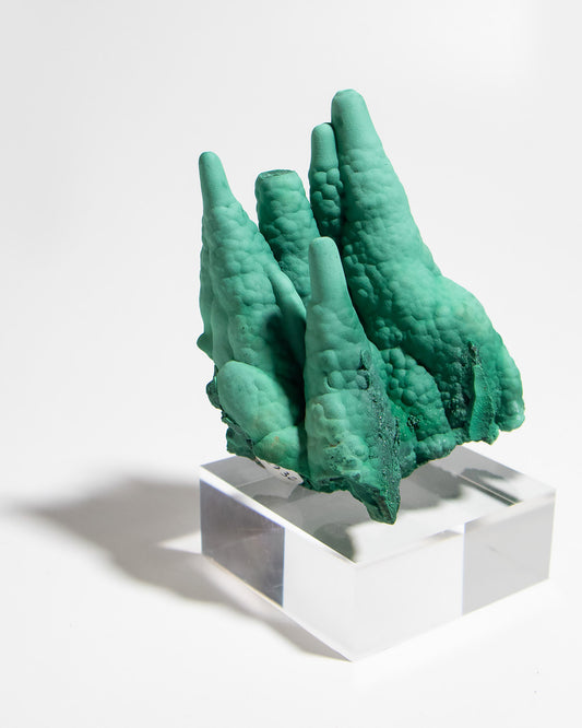 民主剛果孔雀石|稀有罕見收藏級礦標Sparkling Malachite Stalactite from DR Congo