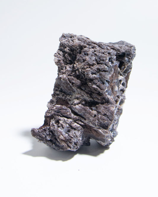 義大利阿爾卑斯木化石共生玉髓rare petrified wood covered with chalcedony features beautiful pale blue hue