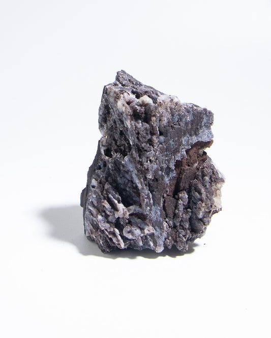 義大利阿爾卑斯木化石共生玉髓rare petrified wood covered with chalcedony features beautiful pale blue hue