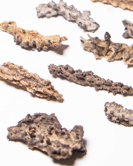 閃電化石 - 撒哈拉沙漠