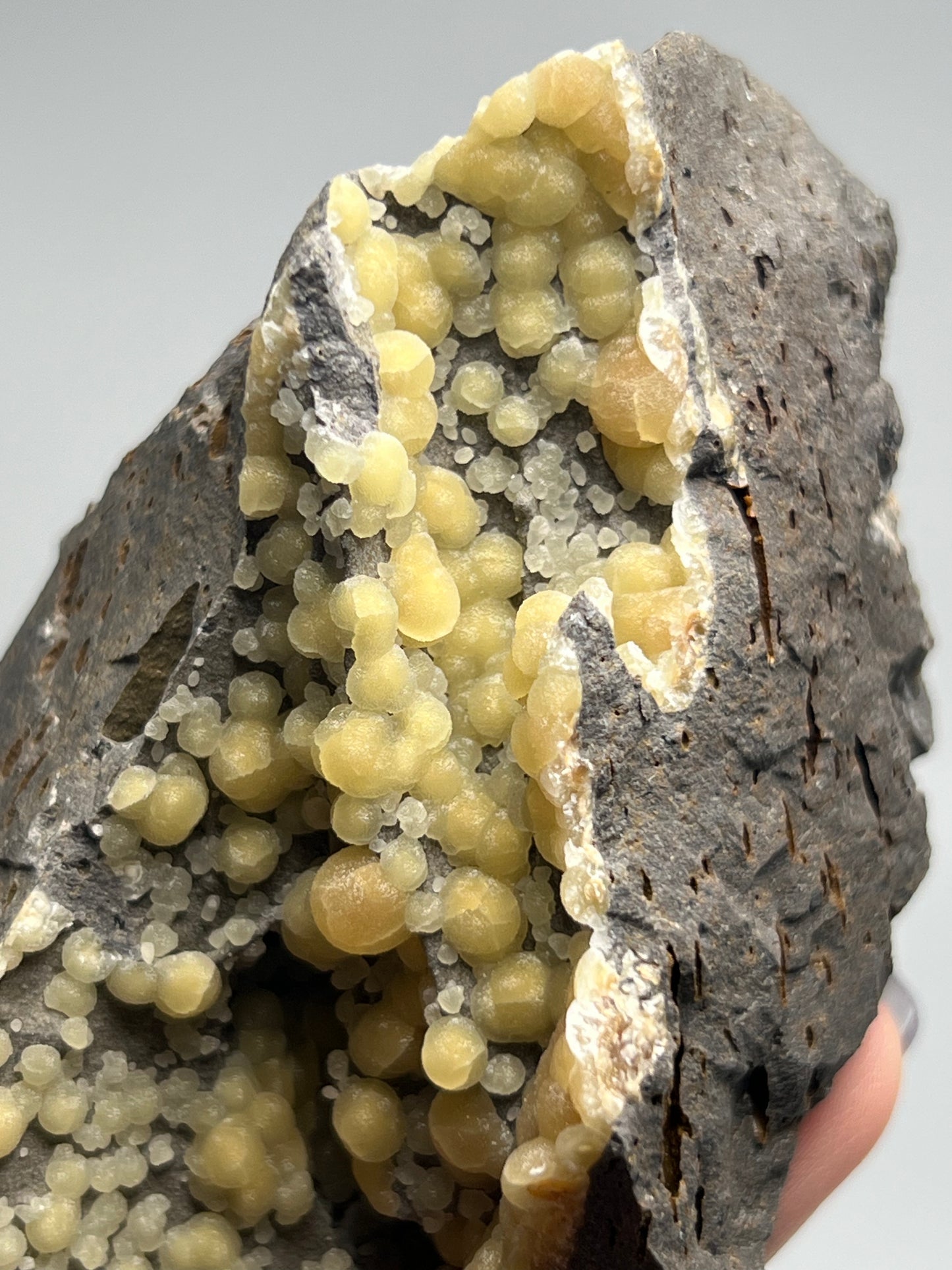 稀有的義大利球狀方解石,常長在玄武岩上 Rare Italian botryoidal calcite typically occurs on basalt.