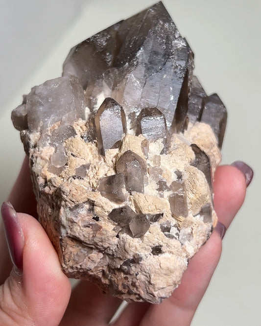 極罕見埃及西奈山煙晶有著古老的紋理與專注穩定的能量 rare smoky quartz from mount Sinai, Egypt gives divine energy