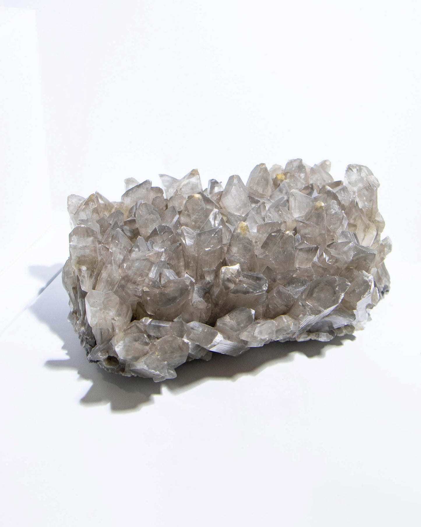 Gypsum var. Selenite - Tuscany, Italy