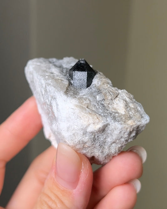 稀有罕見的義大利雙尖黑水晶 Rare black quartz specimen on anhydrite, featuring double-terminated quartz crystals with graphite inclusions from Italy.