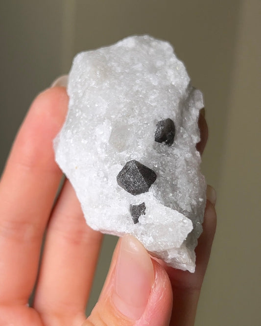 稀有罕見的義大利雙尖黑水晶 Rare black quartz specimen on anhydrite, featuring double-terminated quartz crystals with graphite inclusions from Italy.