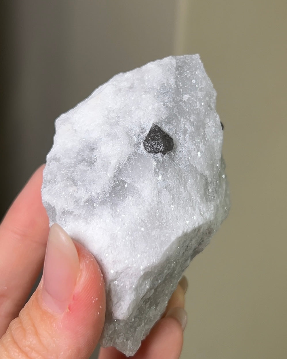 稀有罕見的義大利雙尖黑水晶 Rare black quartz specimen on anhydrite, featuring double-terminated quartz crystals with graphite inclusions from Italy.