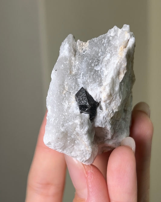 稀有罕見的義大利雙尖黑水晶 Rare black quartz specimen on anhydrite, featuring double-terminated quartz crystals with graphite inclusions from Italy.