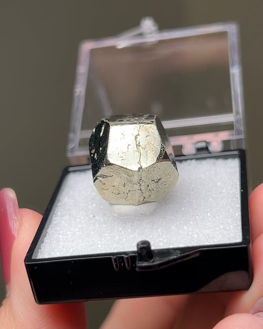 黃鐵礦 - 義大利厄爾巴島