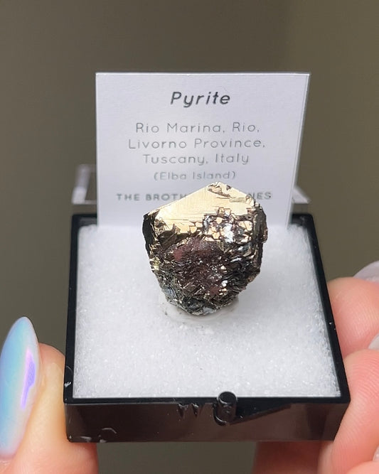 黃鐵礦 - 義大利厄爾巴島