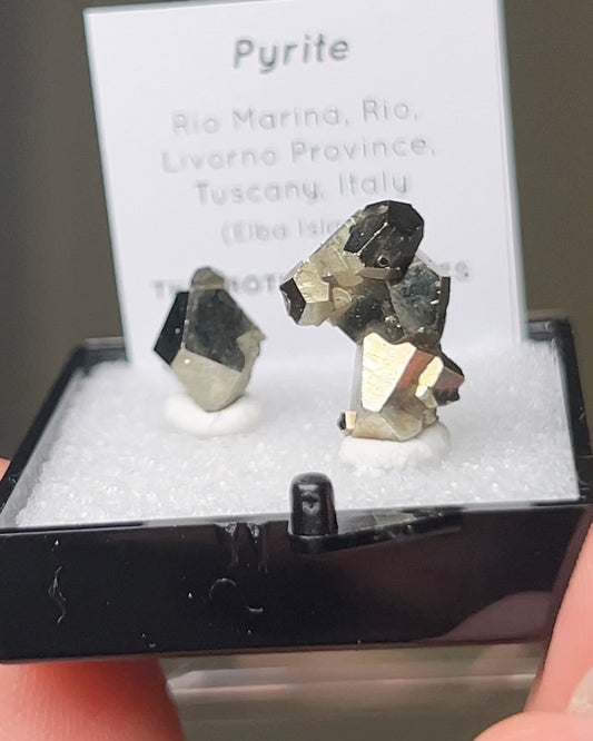 黃鐵礦 - 義大利厄爾巴島