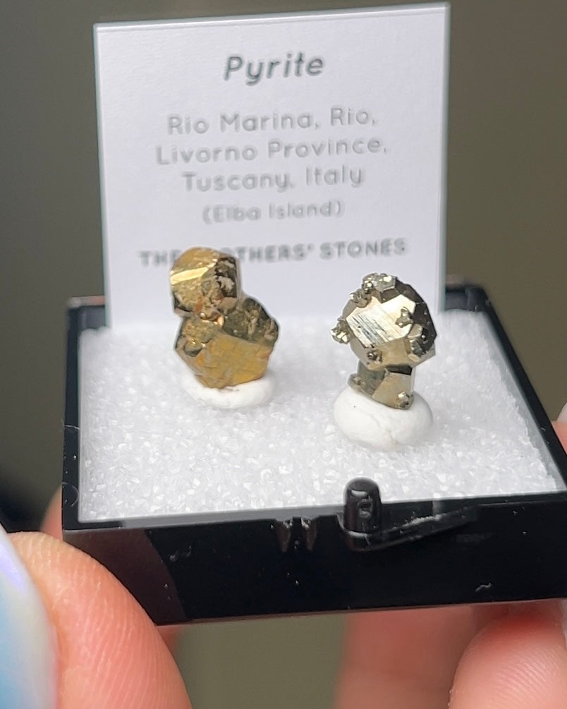 Pyrite - Elba Island, Italy