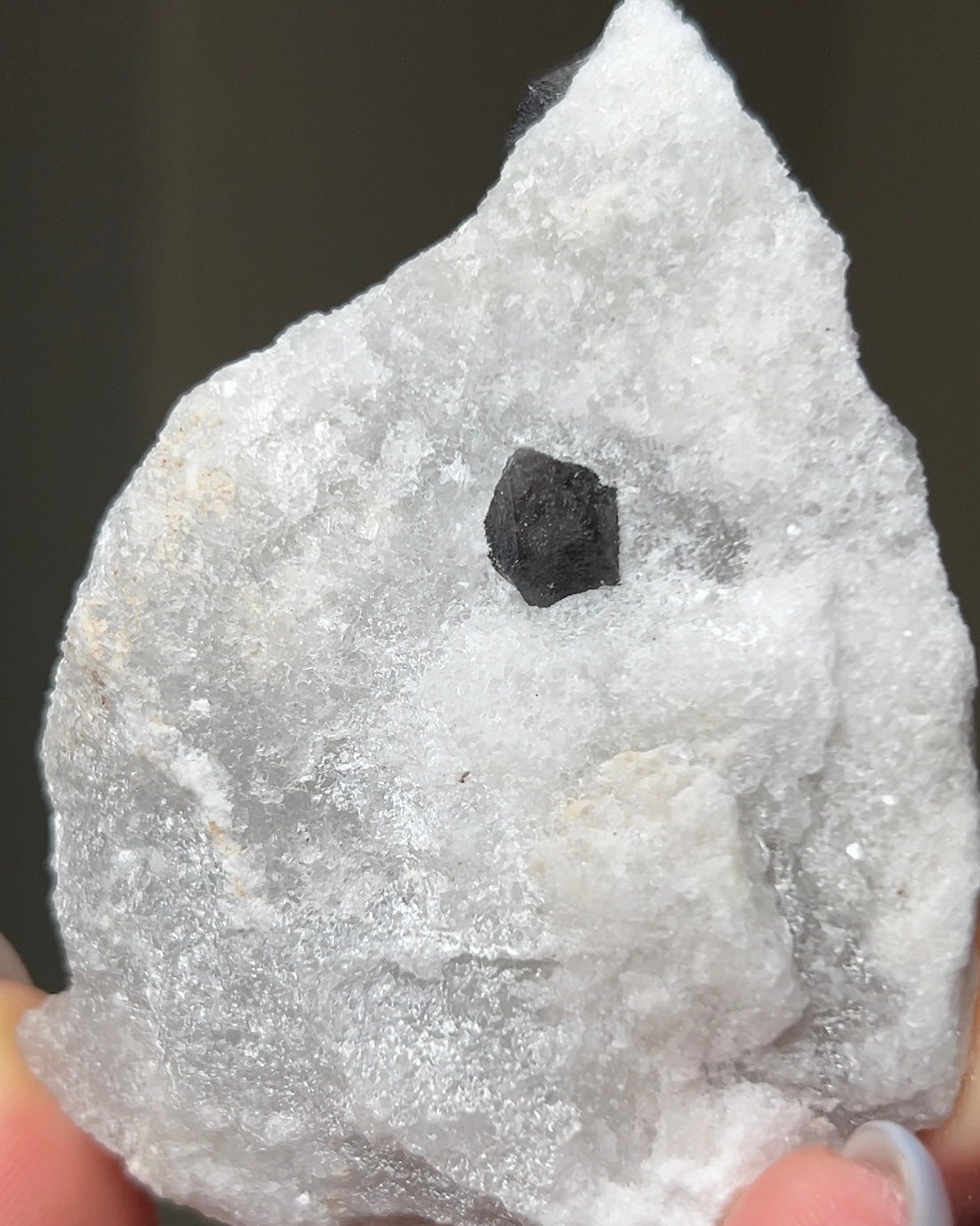 黑水晶硬石膏 - 義大利