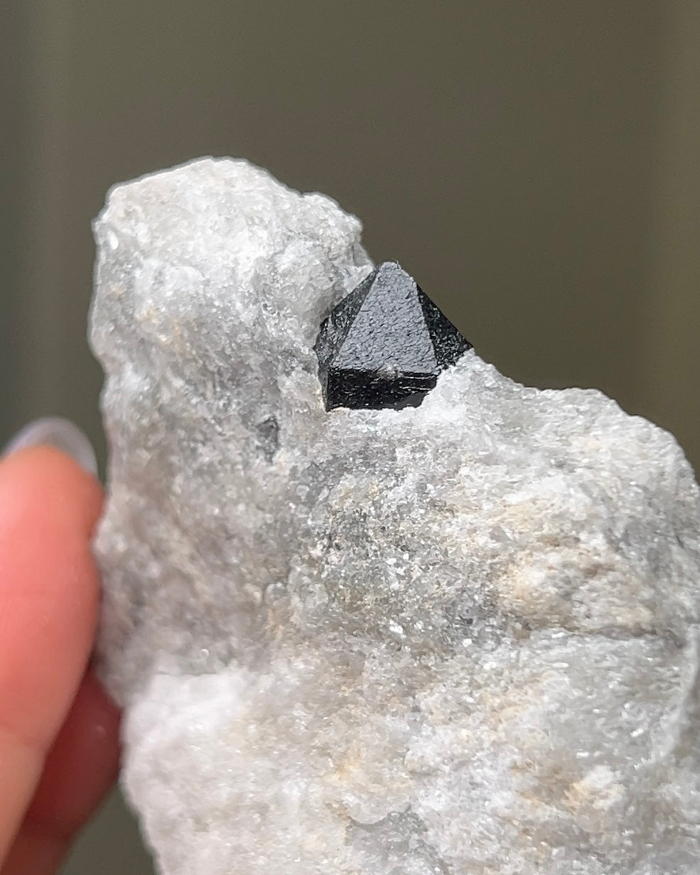 Black Quartz on Anhydrite - Reggio Emilia, Italy
