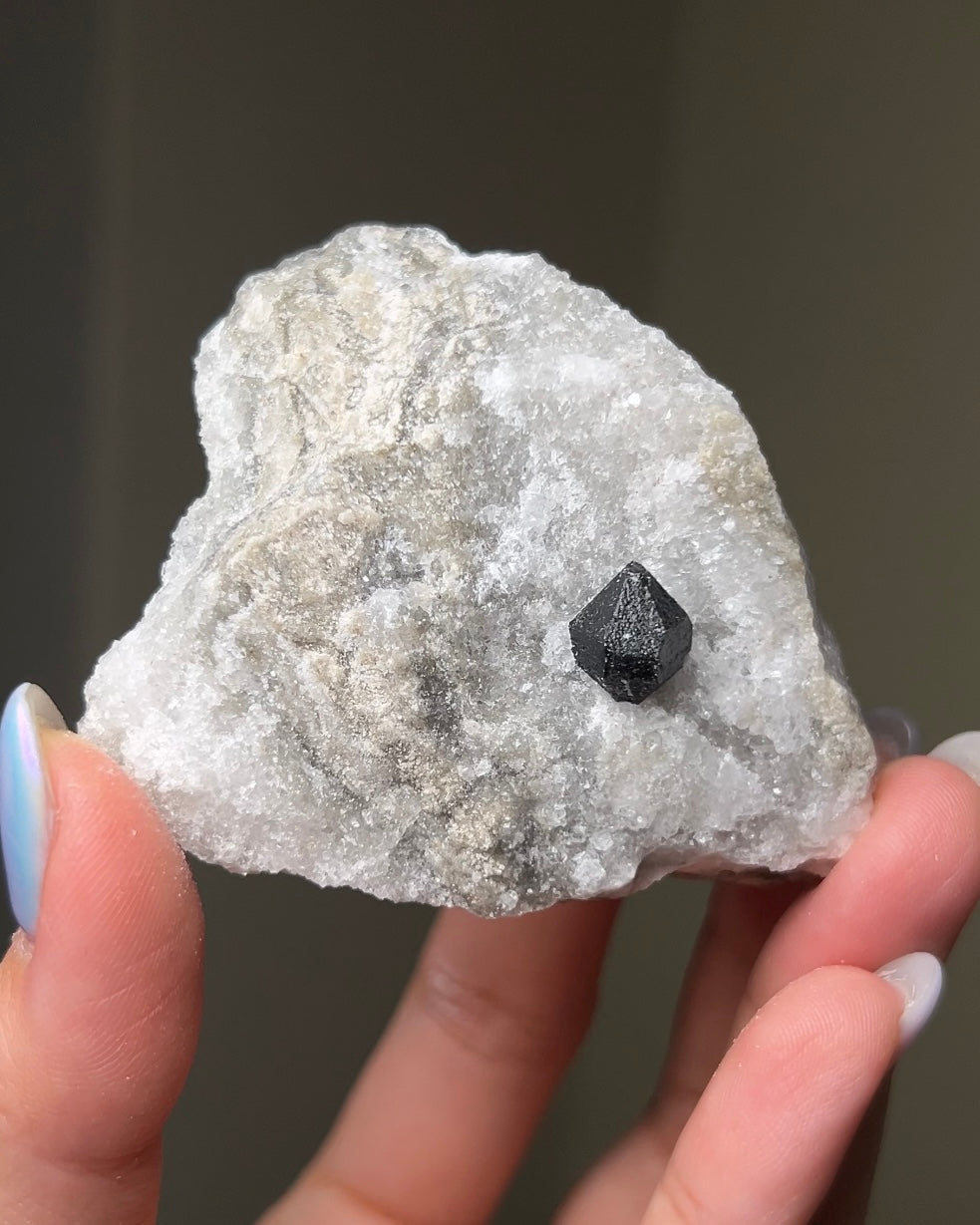 黑水晶硬石膏 - 義大利