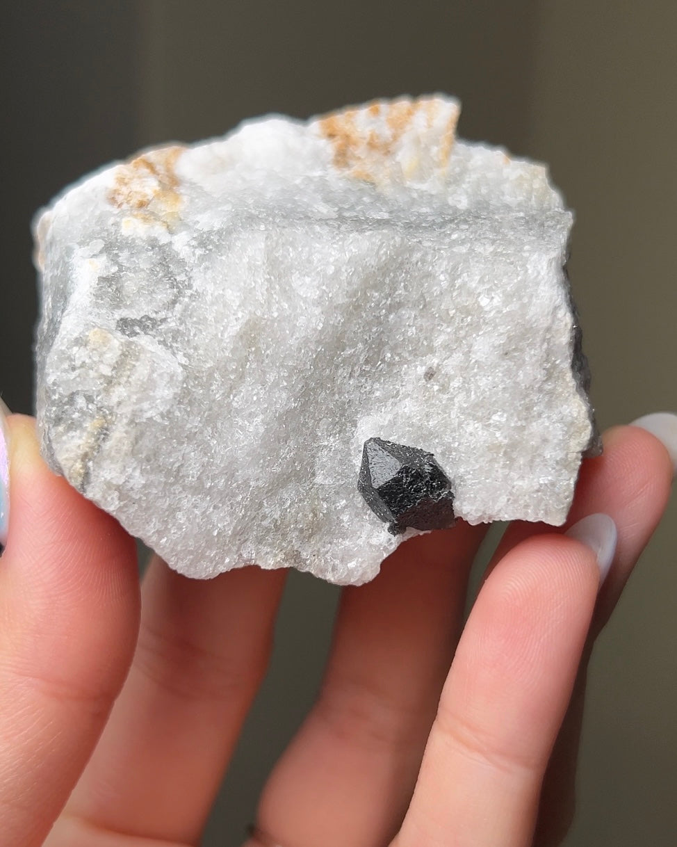 黑水晶硬石膏 - 義大利