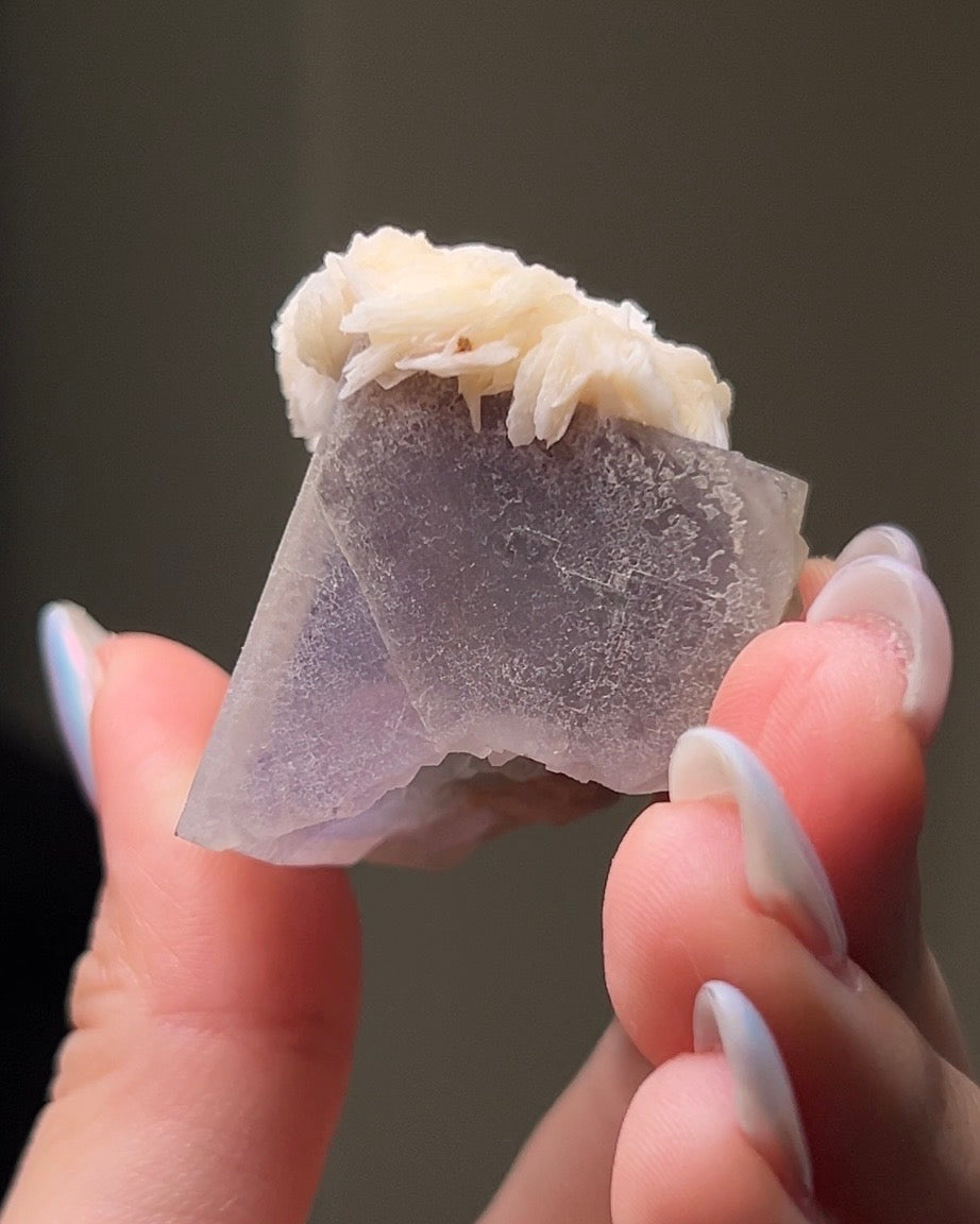 Fluorite - Poggio Balate, Sicily, Italy