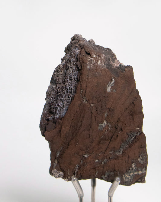 阿爾卑斯產木化石標本,含玉髓結晶與細緻紋理,是收藏者與自然系家居空間的理想裝飾品。