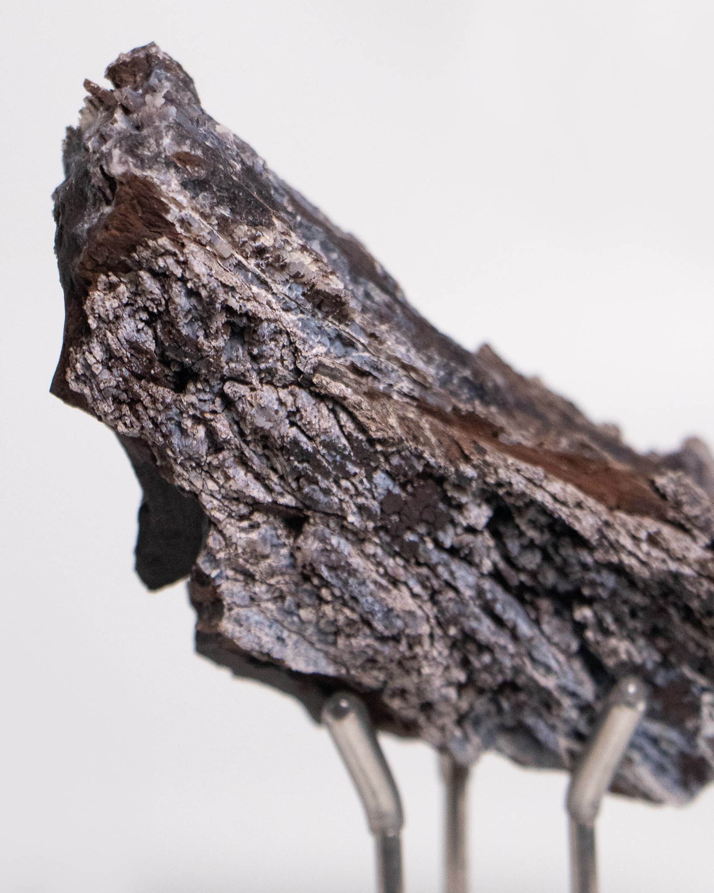 義大利阿爾卑斯產木化石,含玉髓結晶與細緻紋理,是收藏者與自然系家居空間的理想裝飾品。