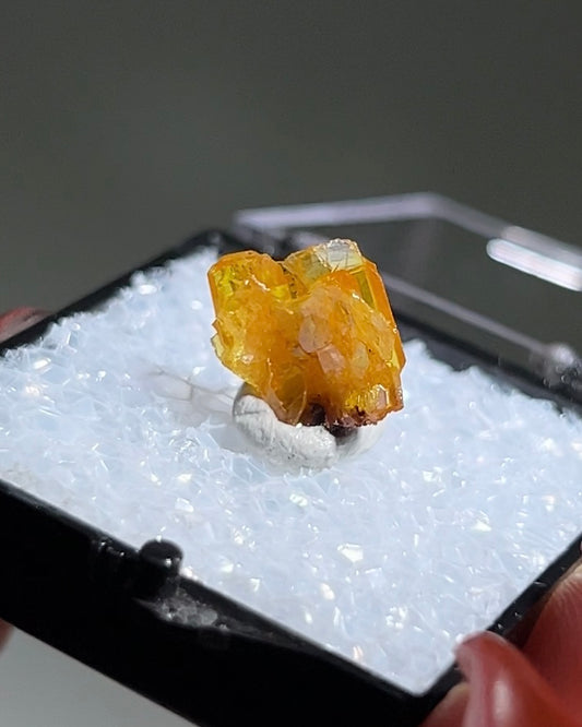 墨西哥鉬鉛礦標本(Mexican wulfenite specimen)呈高度透明的薄板狀晶體(with highly transparent thin tabular crystals)