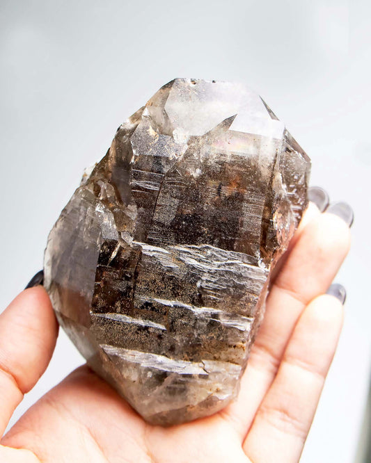 波士尼亞戰士煙晶|療癒系漸層煙晶・自癒能量與穩定力量