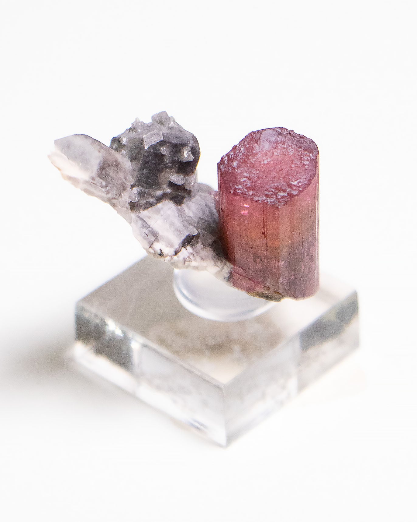 摩洛哥紅碧璽近幾年以少量且高品質的姿態,逐步進入國際收藏市場。