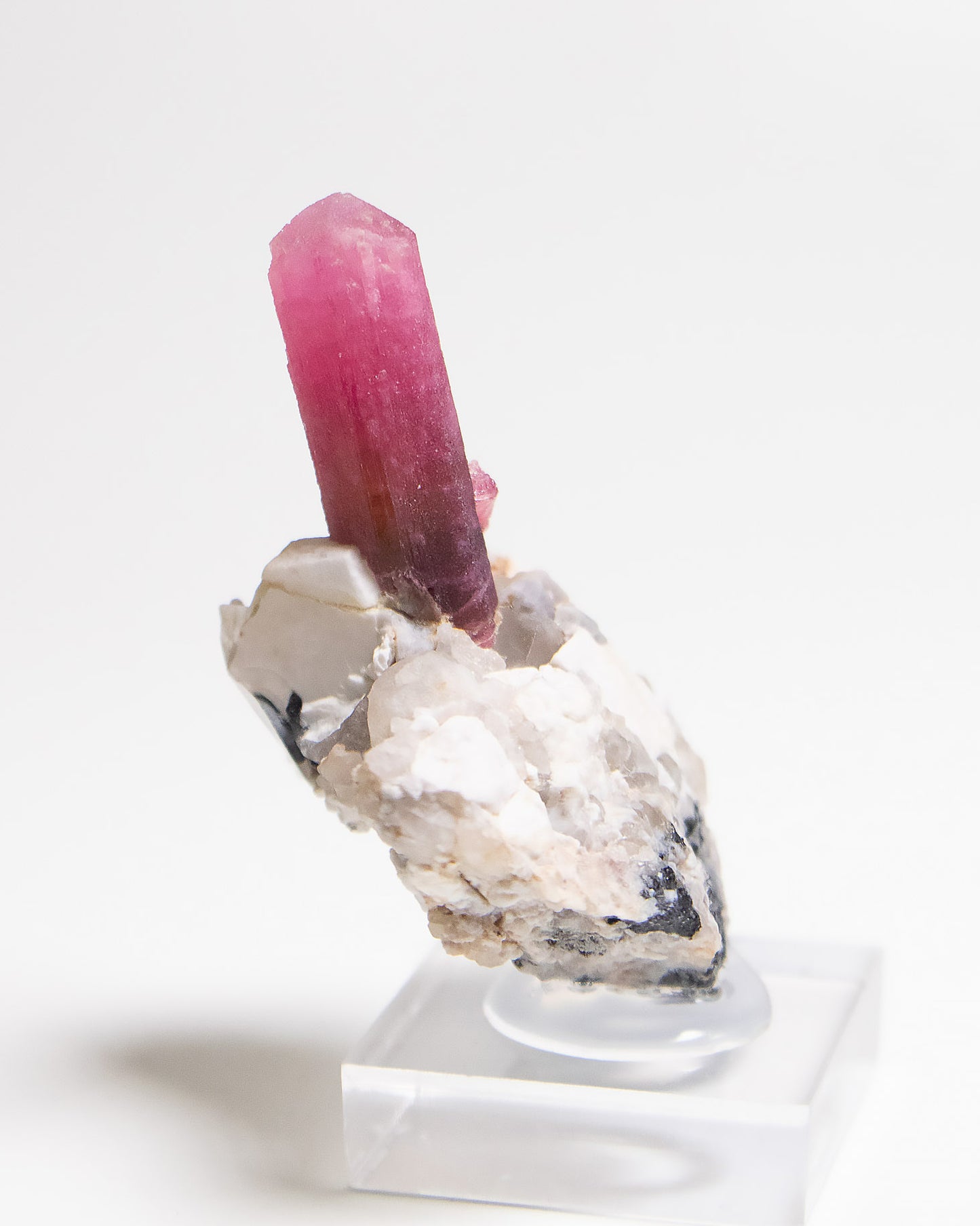 摩洛哥紅碧璽/鋰電氣石Morocco Tourmaline