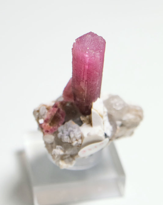 摩洛哥紅碧璽/鋰電氣石Morocco Tourmaline