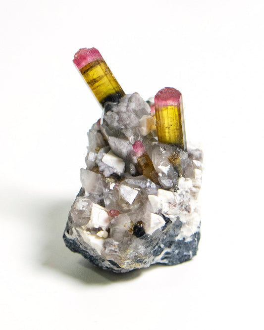 摩洛哥雙色/西瓜碧璽Morocco bicoloered Watermelon Tourmaline