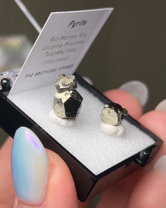 義大利黃鐵礦 - 厄爾巴島