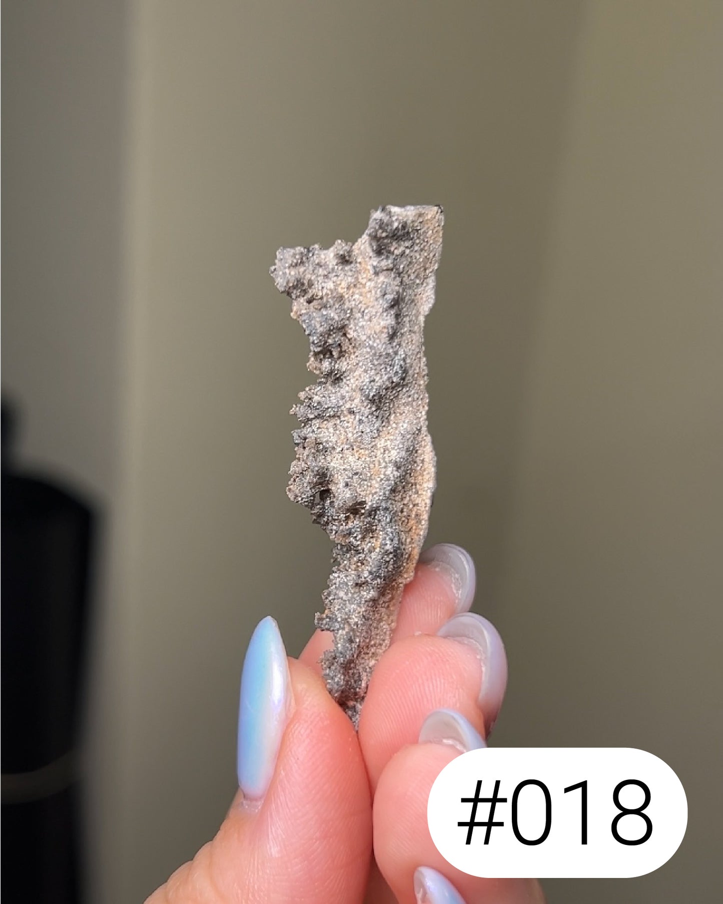 閃電化石 - 撒哈拉沙漠