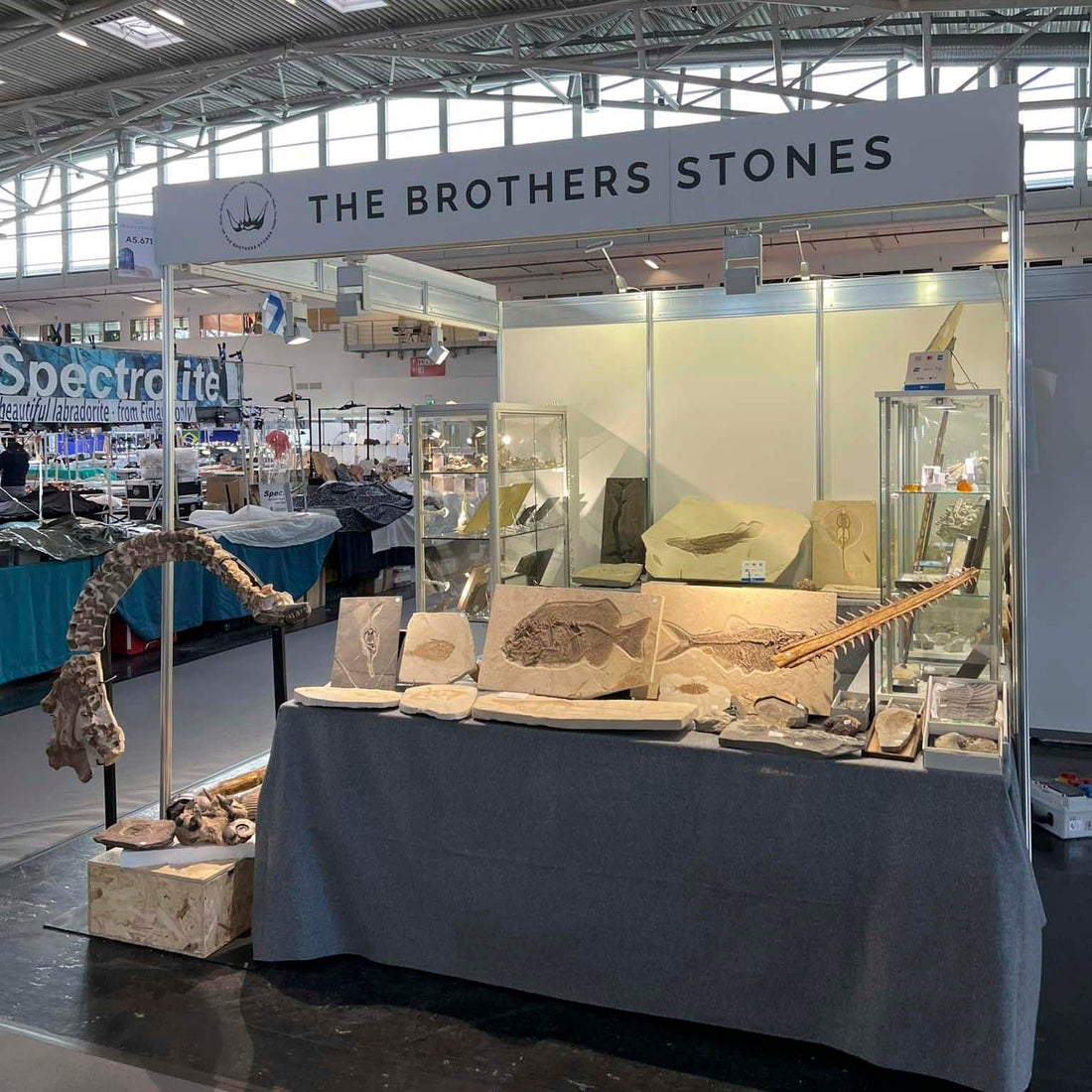 慕尼黑礦物展 2022 — 十月，現代展館裡的遠古時代