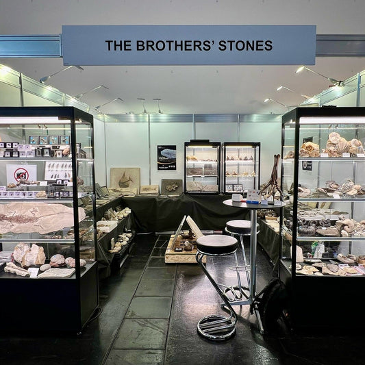 慕尼黑礦物展 2025 — From Origin to Your Collection