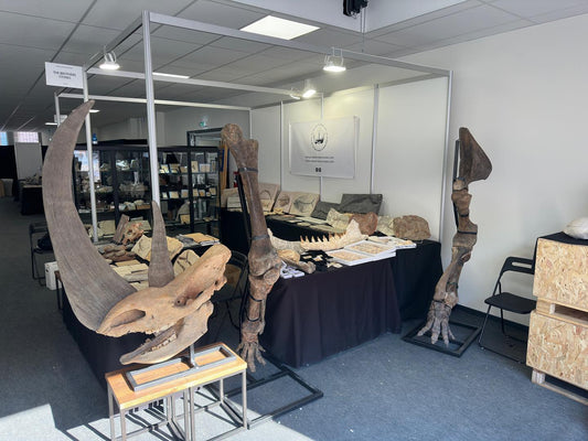 聖瑪麗礦物展 2023 — 標本站上地板的那一年