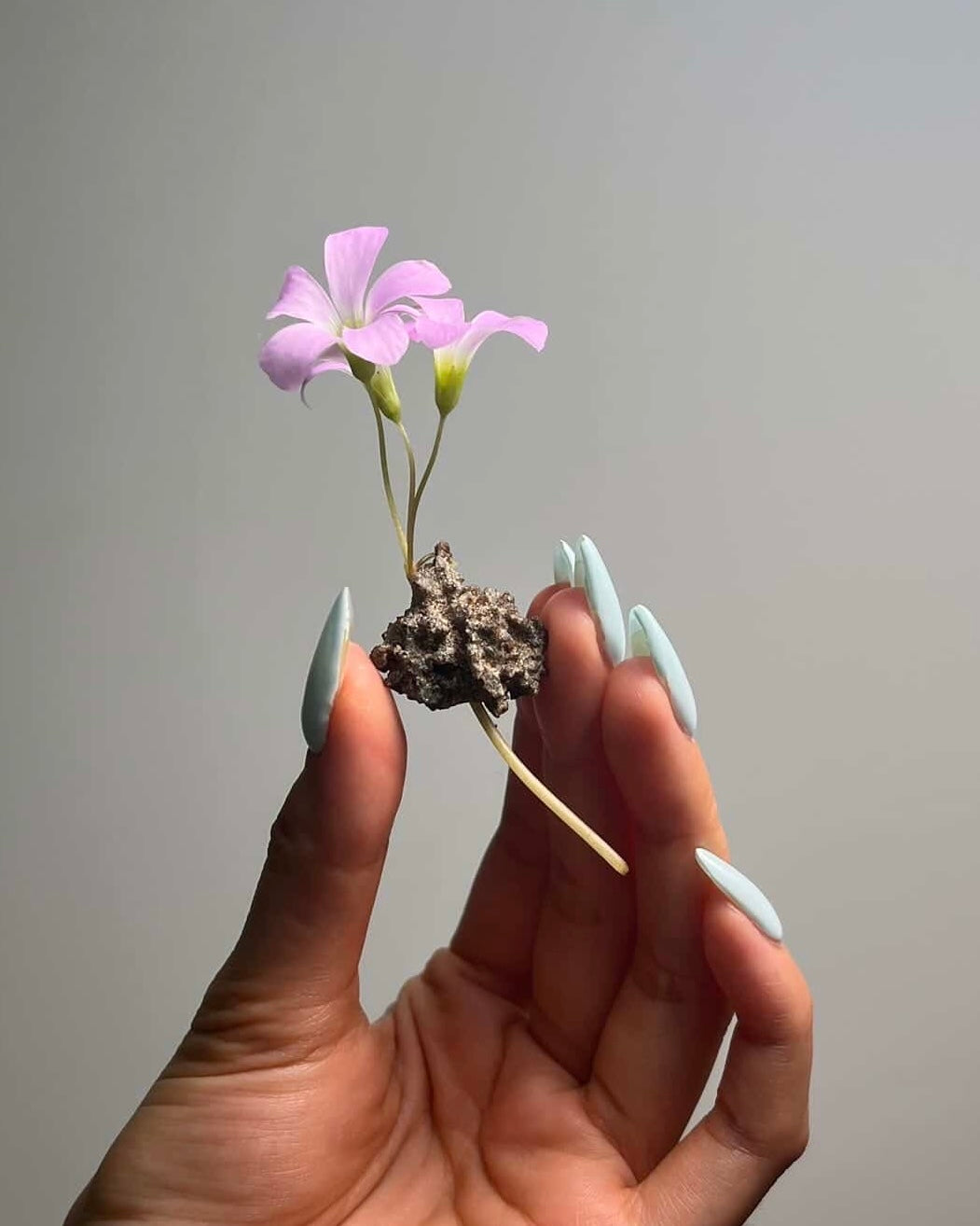 [不挑·鋼鍊款]閃電化石 - 撒哈拉沙漠