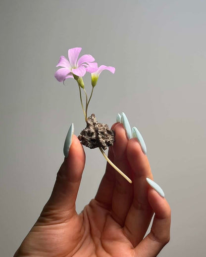 [不挑·鋼鍊款]閃電化石 - 撒哈拉沙漠