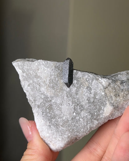 稀有罕見的義大利雙尖黑水晶 Rare black quartz specimen on anhydrite, featuring double-terminated quartz crystals with graphite inclusions from Italy.
