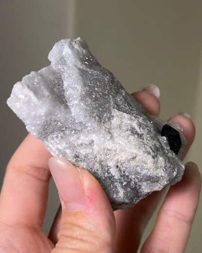 稀有罕見的義大利雙尖黑水晶 Rare black quartz specimen on anhydrite, featuring double-terminated quartz crystals with graphite inclusions from Italy.