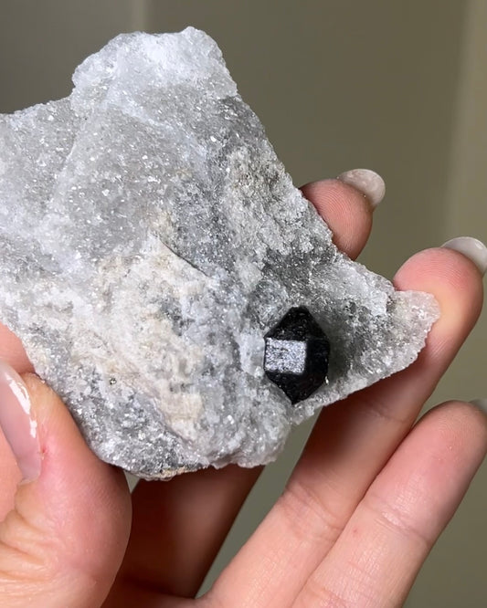 稀有罕見的義大利雙尖黑水晶 Rare black quartz specimen on anhydrite, featuring double-terminated quartz crystals with graphite inclusions from Italy.