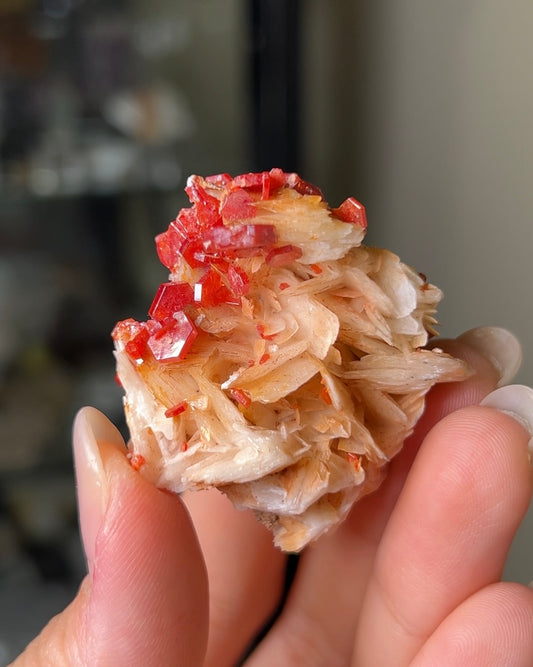 摩洛哥釩鉛礦重晶石 Vanadinite on barite from Morocco