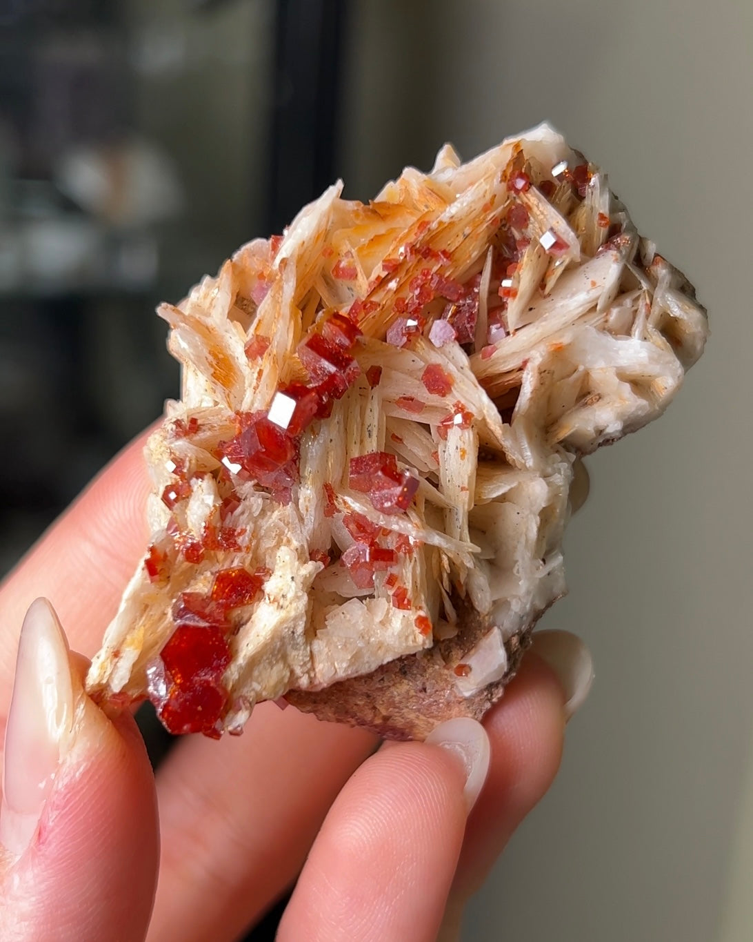 摩洛哥釩鉛礦重晶石vanadinite on barite from Morocco