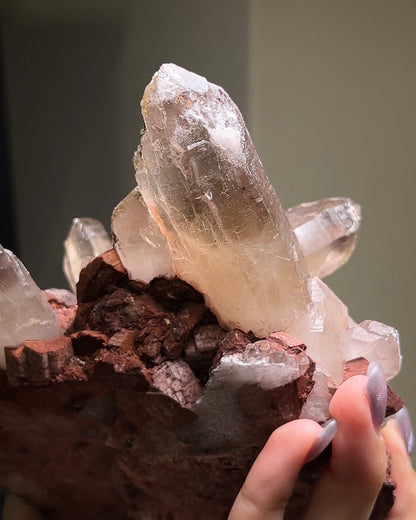 埃及煙晶標本非常稀有smoky quartz specimens from Mount Sinai, Egypt are exceptionally rare.They embodies grounding and protective energy—supporting focus, emotional stability, and a calm return to the present moment. 