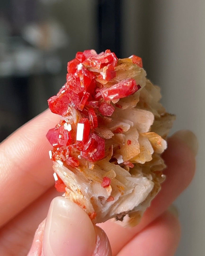 摩洛哥釩鉛礦重晶石 Vanadinite on barite from Morocco