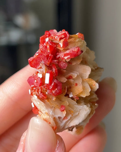 摩洛哥釩鉛礦重晶石 Vanadinite on barite from Morocco