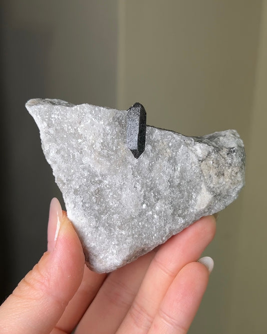 稀有罕見的義大利雙尖黑水晶 Rare black quartz specimen on anhydrite, featuring double-terminated quartz crystals with graphite inclusions from Italy.