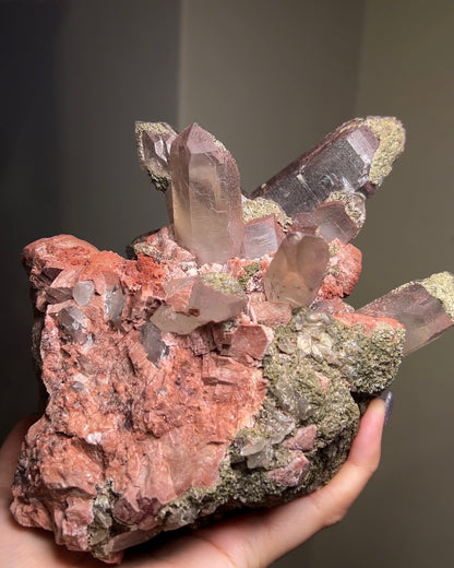 埃及煙晶標本非常稀有smoky quartz specimens from Mount Sinai, Egypt are exceptionally rare.They embodies grounding and protective energy—supporting focus, emotional stability, and a calm return to the present moment. 