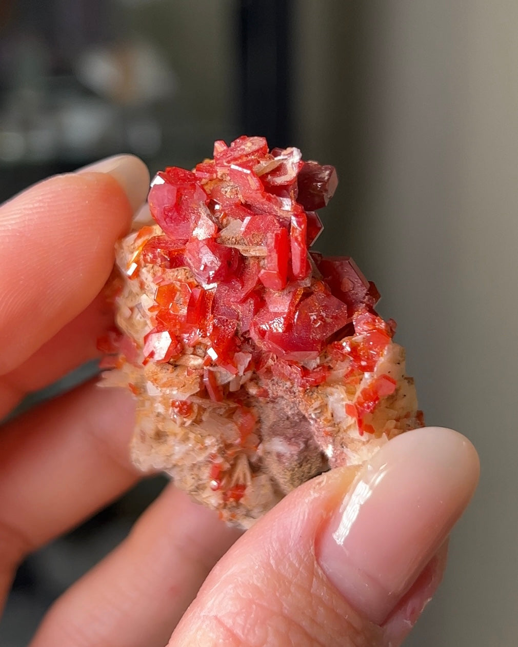 摩洛哥釩鉛礦重晶石 Vanadinite on barite from Morocco