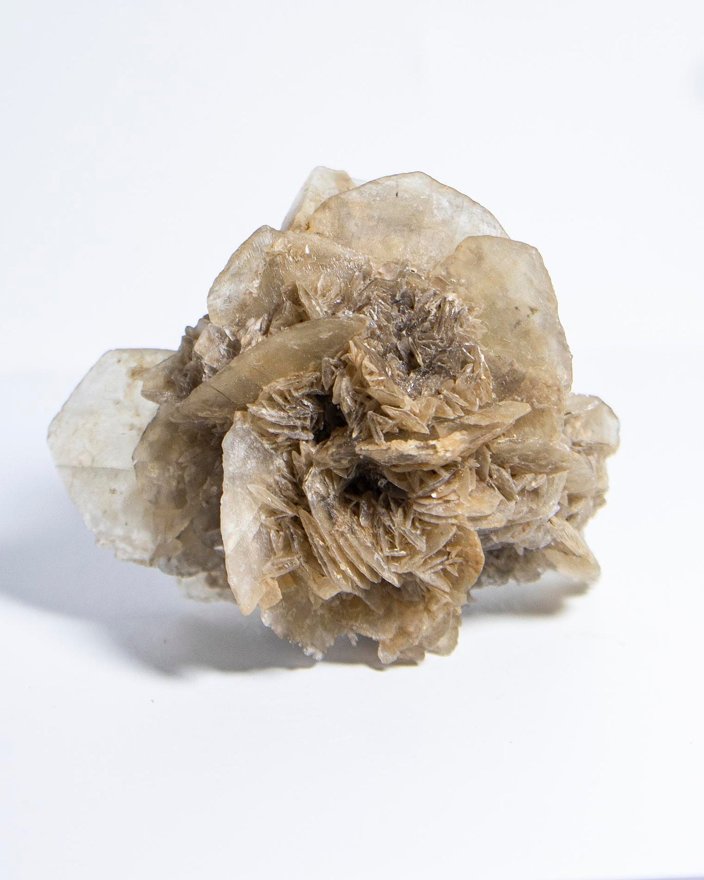 Rose Gypsum - Tuscany, Italy