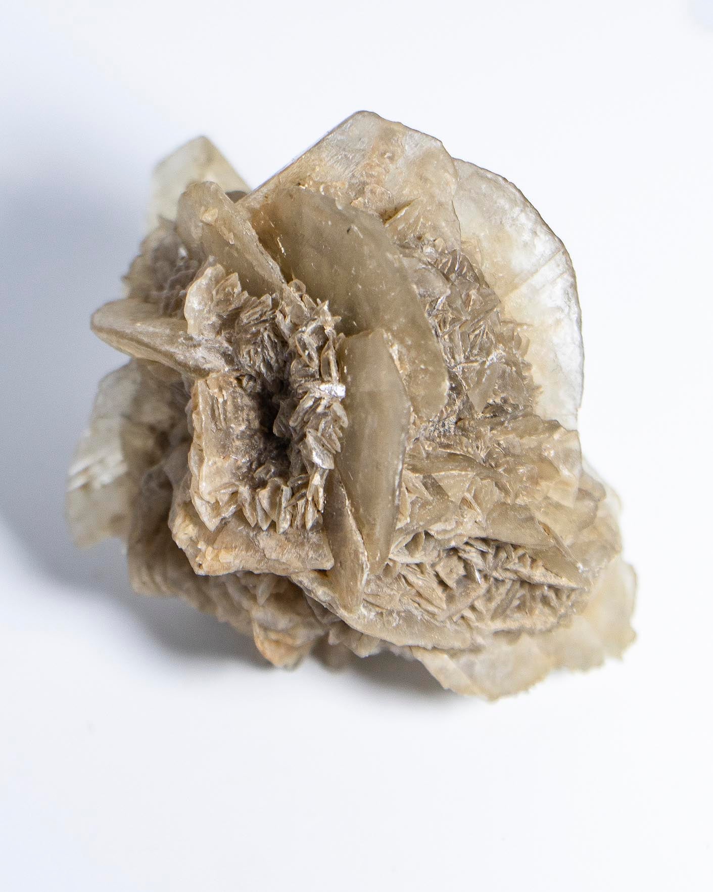 Rose Gypsum - Tuscany, Italy